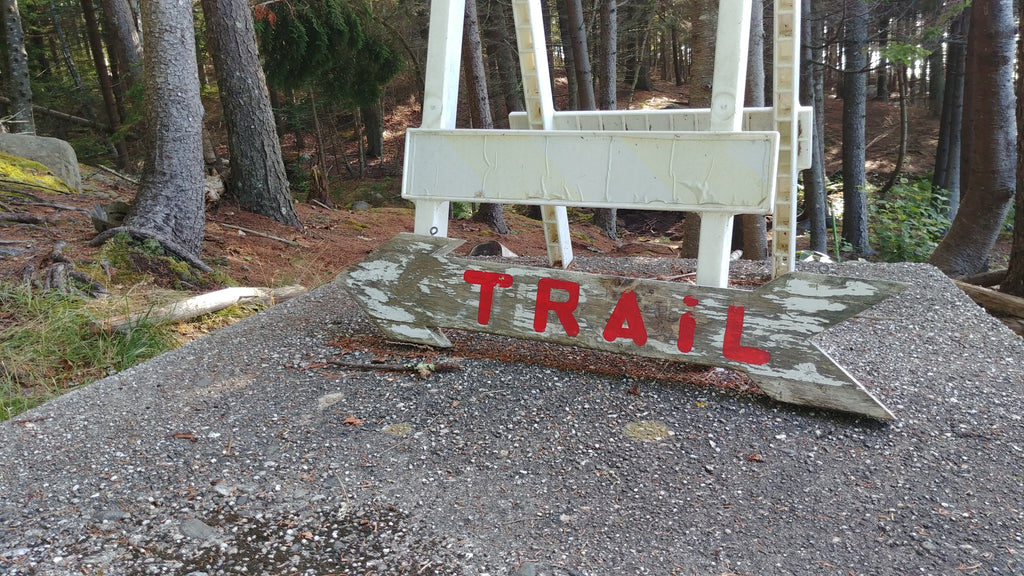 The Dog Days of Summer.