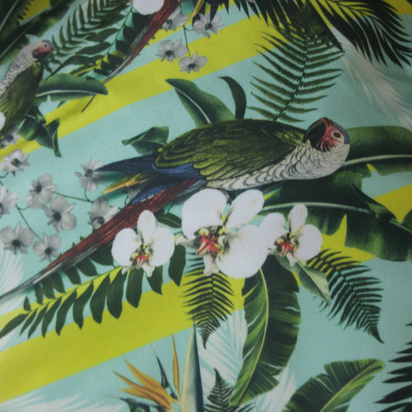 teal and green parrot fabric